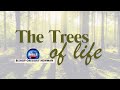The trees of life