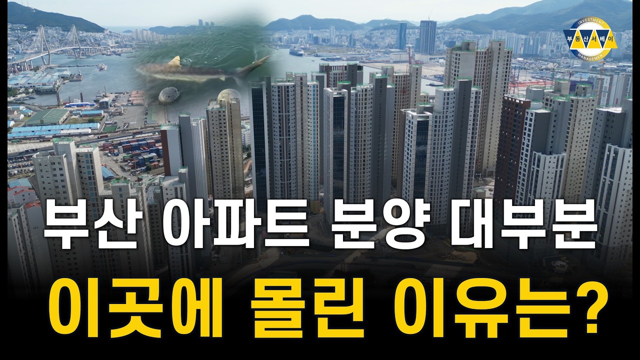 부산 아파트 분양 대부분 이곳으로 몰렸다. 에코델타 보다 더 많이 분양한 남구는 미분양률 단 1%로 부산 부동산 최고 인기...부캉이와 함께