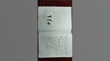 Class-12th..Physical Education .. Practical on Major Game "HANDBALL"🤾