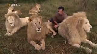 Documentary living with the lions