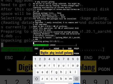 Instalação da linguagem #Golang no #Android via #Termux