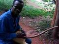 Capture de la vidéo Osei Kwame Korankye Plays Akan Seperewa Bridge Harp