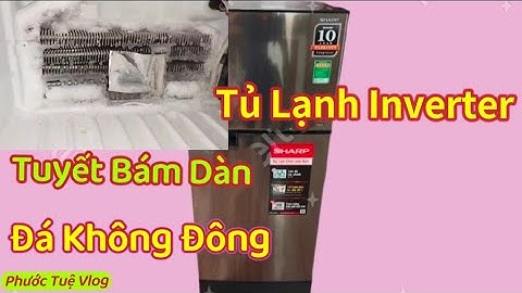 Hướng Dẫn Test Sửa Tủ Lạnh Sharp Inverter Không Lạnh Ngăn Đông Và Ngăn Mát
