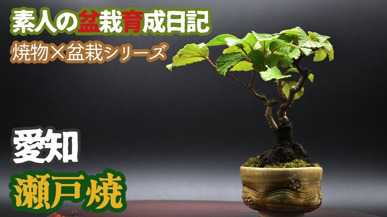 ジィー　ビンテージ牧草地風景陶板ラスト。Kumko Amazon.co.jp: 北欧ヴィンテージ Jie Gantofta ジィガントフタ