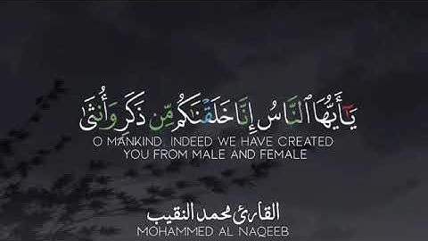 القارئ محمد النقيب  /قرآن كريم/تلاوة عطرة/ مقاطع قصيرة/ حالات واتساب
