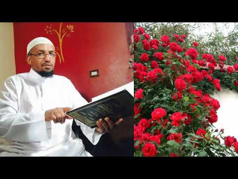 BARNOOTA FAYYAA MATA DURERN WARDII