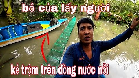 Tức,,,bọn trộm cắp trên đồng nước quá lọng hành / vũ heo