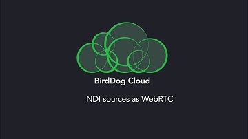 BirdDog Cloud - Convert NDI sources to WebRTC