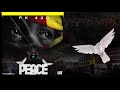 Pk 420  peace official audio produced by southskillz