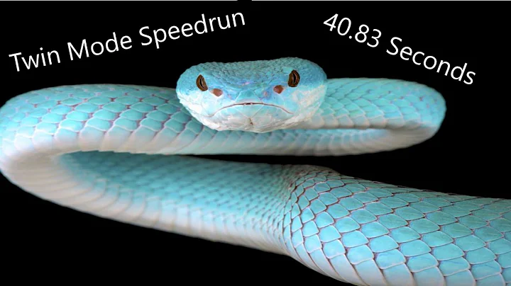 GSG(Google Snake Game) Speedrun Twin 25 Apples 40.83