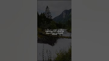 سورة النصر (اذا جاء نصر الله والفتح) سعد الغامدي