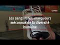 Les sangs rares marqueurs mconnus de la diversit humaine