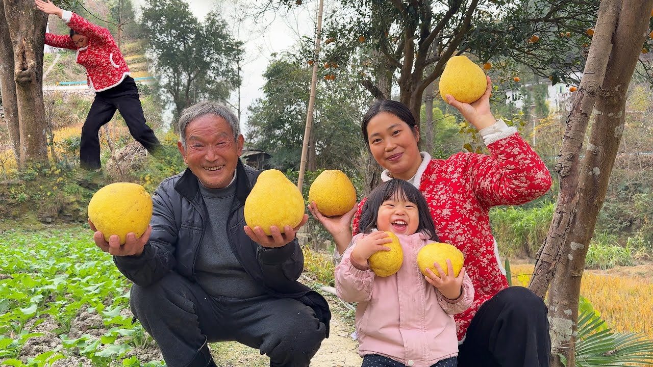 爷爷每天都要吃上一口才能睡好觉的柚子，帮爷爷全摘来存放好，爷爷开心坏了