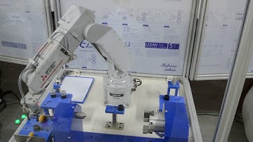 6 Axis Articulated Robot