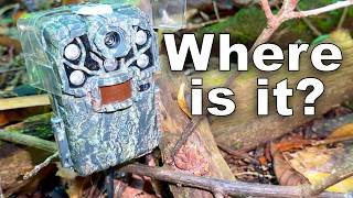 The Stick That Nearly Killed Me! Right By My Browning Trail Cam!