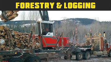 Madill 2800 Unloading Short Logs Outside View - Real Life Forestry & Logging - FDR Logging