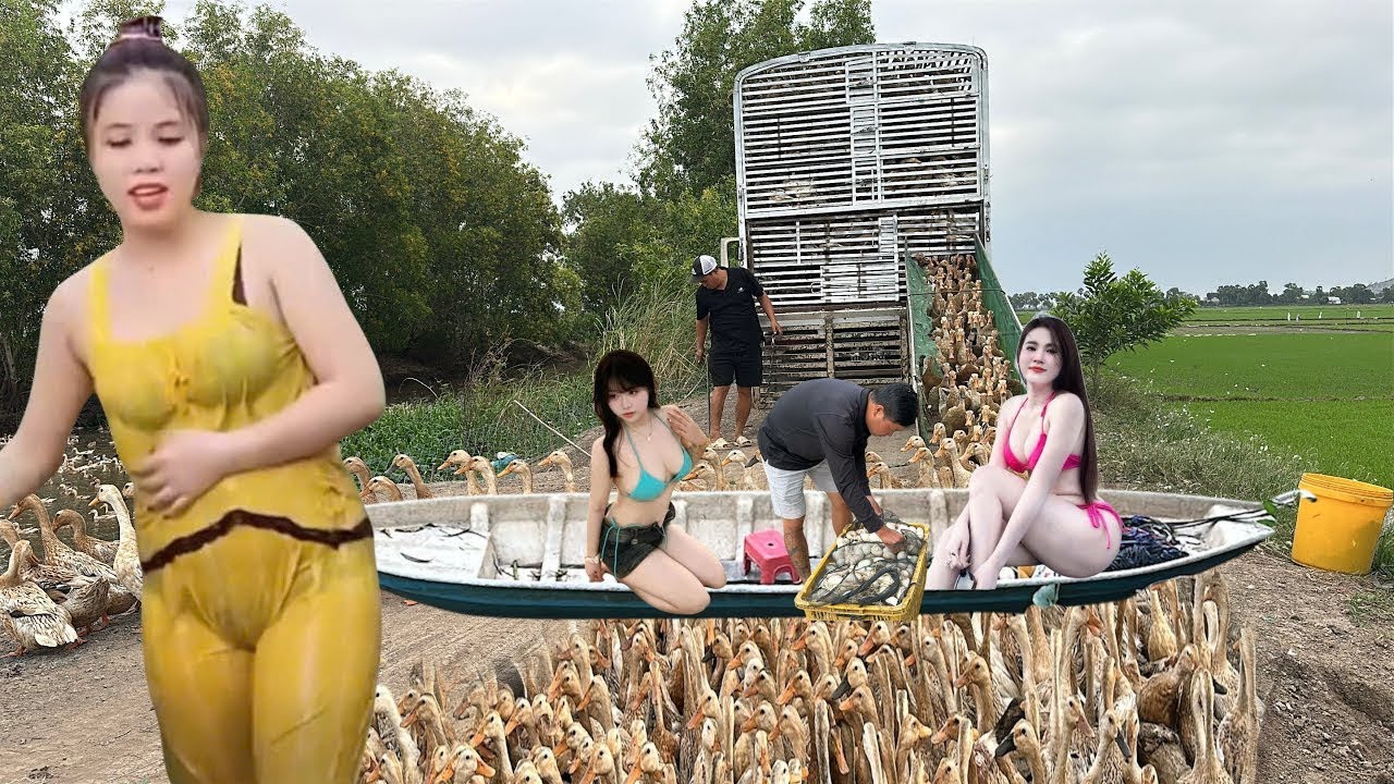 The technique of transporting ducks across the river and the chase was truly amazing.