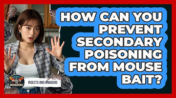 How Can You Prevent Secondary Poisoning From Mouse Bait? - Insects and Invaders