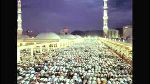 مؤثر جدا-الشيخ زيد البحري من سورة الفرقان