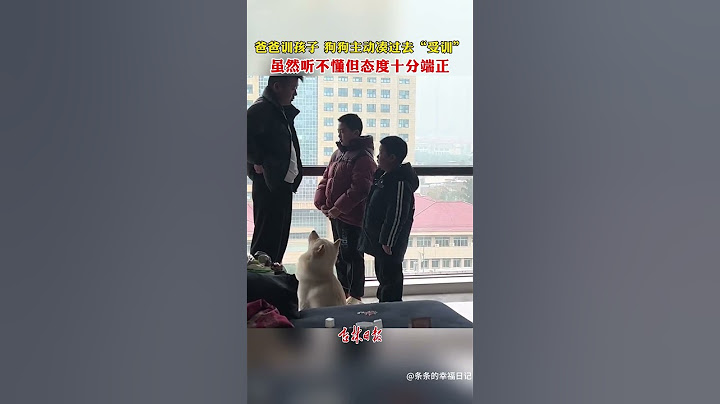 爸爸訓孩子，狗狗主動湊過去“受訓”，雖然聽不懂但態度十分端正