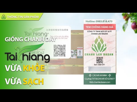 Video Giống Chanh Dây TAISHIANG SỐ 1 Việt Nam - MỚI NHẤT năm... - youtube