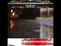 صوره مع عطر سلطان بن مريع
