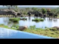 Wildlife In The Serengeti Four Seasons Safari Lodge Wildlife In The Serengeti Four Seasons Safari Lodge