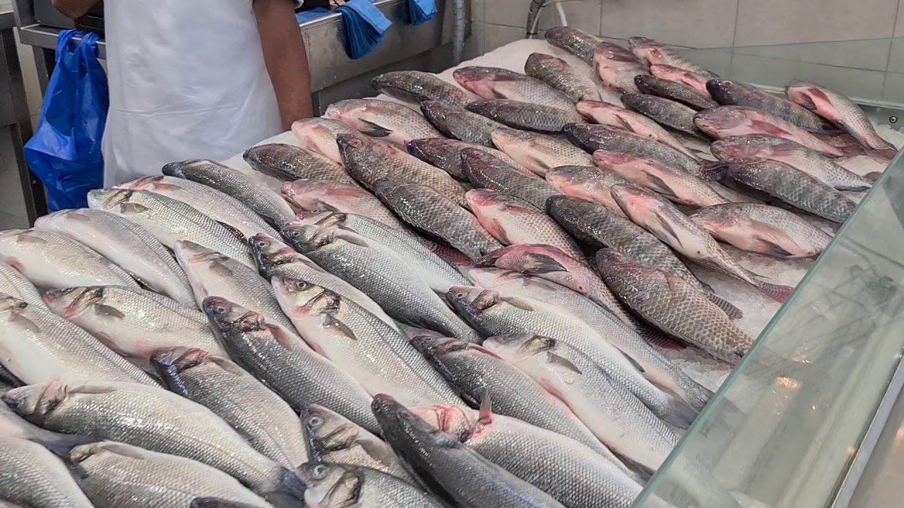 SHARJAH Fish Market.. YouTube