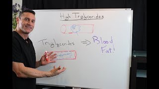 What Are Triglycerides? Net Worth