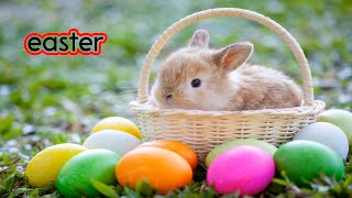 Easter! Bunnies and Chicks CVI friendly video for kids