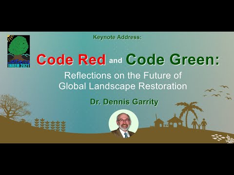 Code Red and Code Green: Reflections on The Future of Global Landscape Restoration