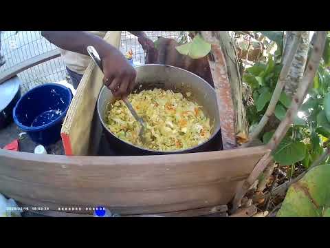 Pt2 Colaz Smith tv 🇯🇲 meet and greet Trinidad 🇹🇹  [hulk nature vibes]