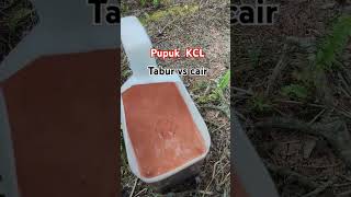 Download Lagu KCL palm oil fertilizer, sprinkled vs liquid #agriculture #palmoilfertilization #palmoilfertilize... MP3