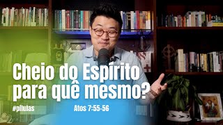 CHEIO DO ESPÍRITO PARA QUÊ (Atos 7:55-56) | pílulas