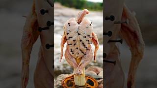 Whole Chicken Nailed and Roasted by the River! The Nature Cooking #shorts #chicken #grilling #food