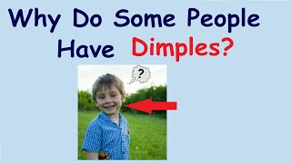 Why do some people have Dimples? | Most Brilliant and Tricky Interview Questions and Answers