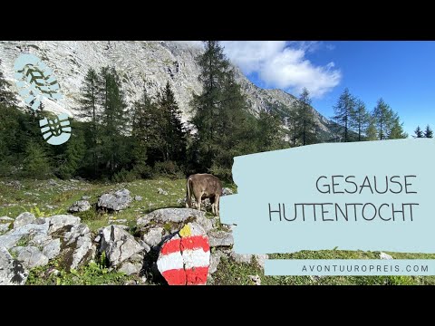 Video: Gezondheidsdoelen Voor Oostenrijk