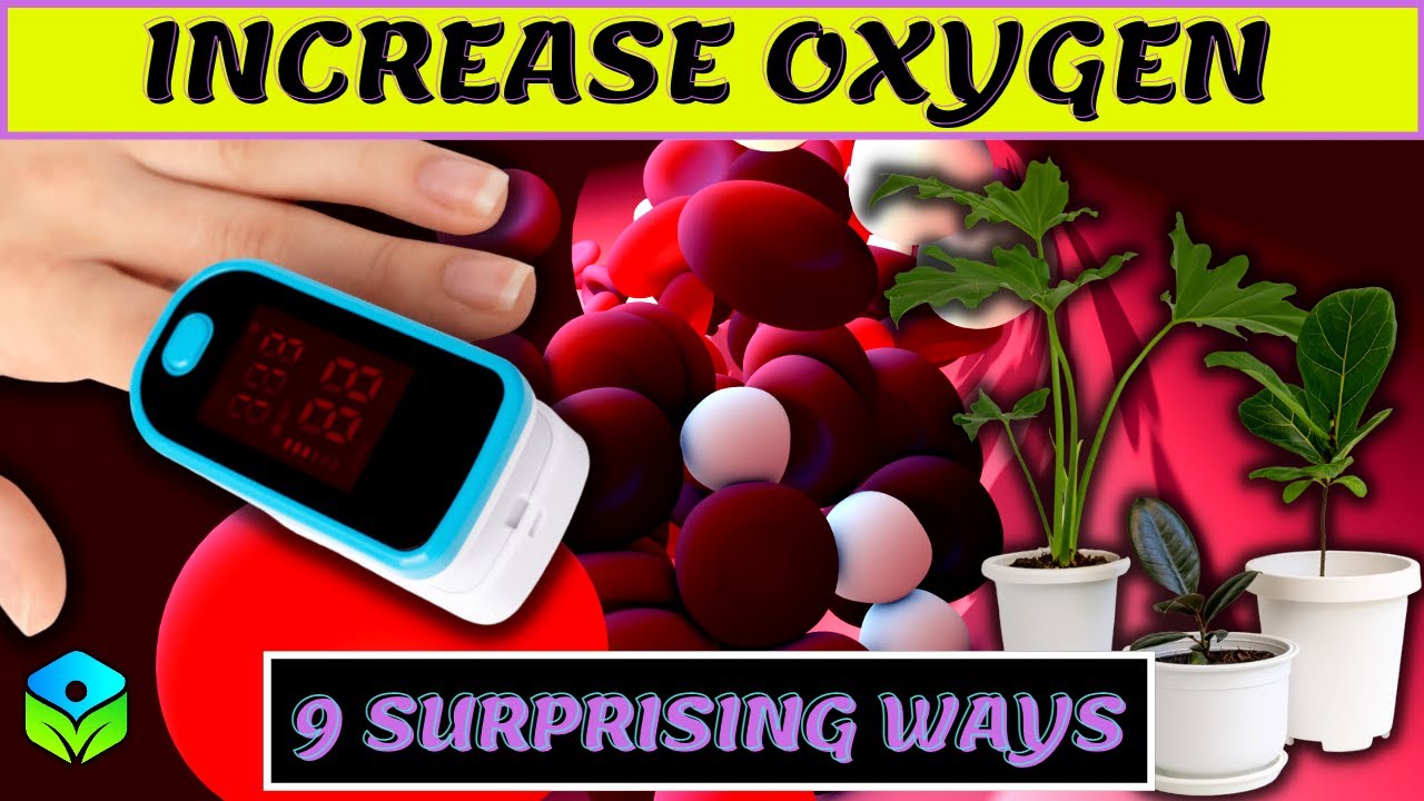 How To Increase Oxygen In Blood With Supplements 9 Surprisingly Effective Ways to Increase Oxygen Level In The Blood and