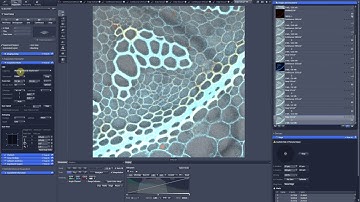 ZEN 2.1 bugs and missing features. 5. Crop and regions selection in the split tab