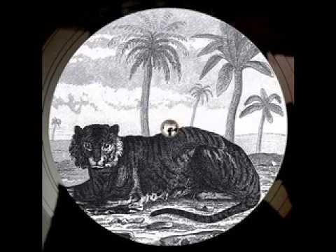 Tigerskin — Tigerskin - Try The Impossible - Future Classic