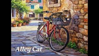 Vídeo de Alley Cat