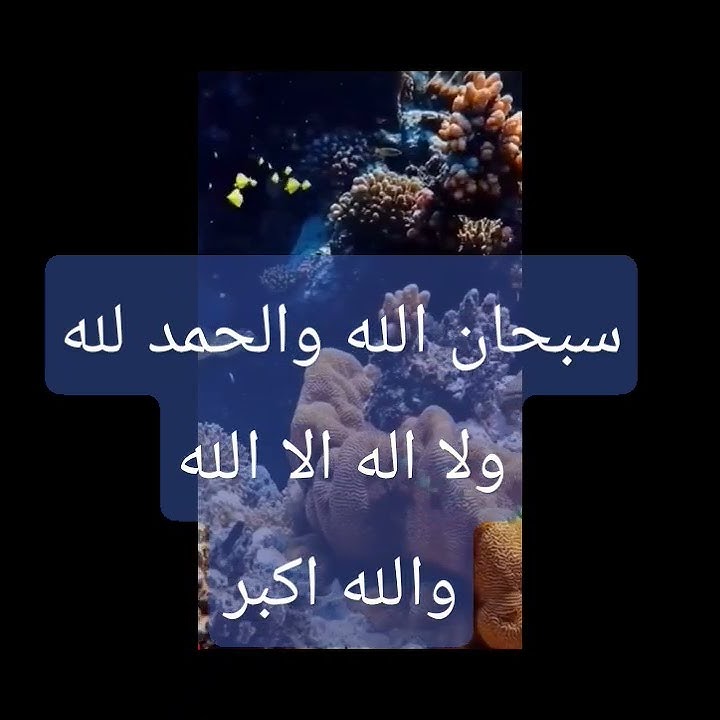 Subhanallah walhamdulillah walailaha illallah wallahu akbar