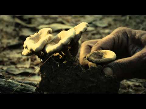 CHATRAK / Bande-annonce VOSTF