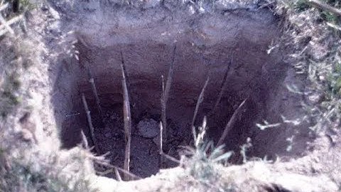 I made a punji stick trap.