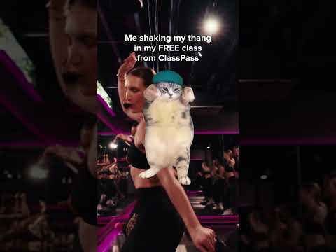 ClassPass YouTube ad: PDS June Ad Refresh cat dancing IGS R2