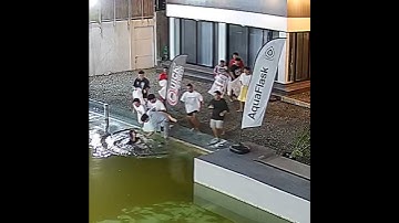 FINDING NEMO (RAW VIDEO)