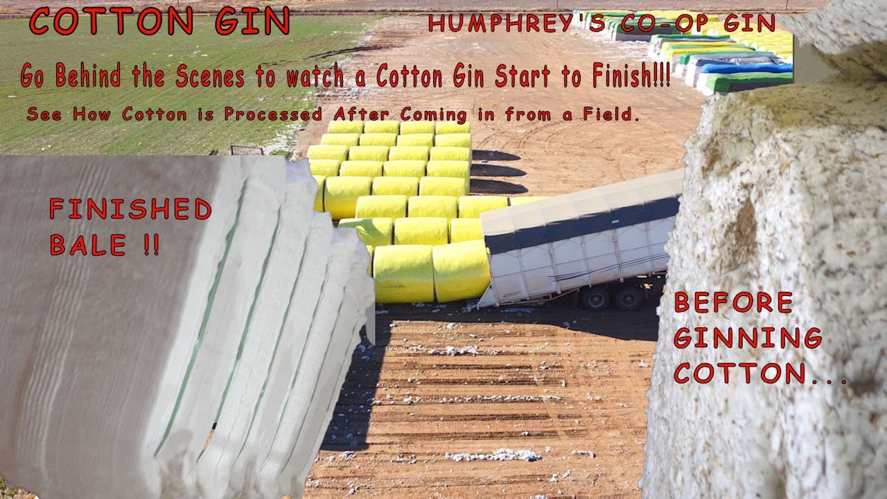 Cotton Gin See a cotton gin in action to know where your cotton comes from!! YouTube