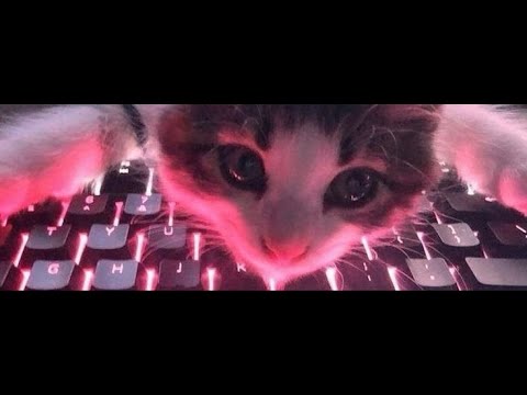 Armored Warfare - путь воина