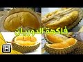 فوائد فاكهة الدوريان الصحية ٣١ فائدة لجسمك 