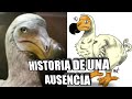 🕊 El Dodo, símbolo de la extinción 😵